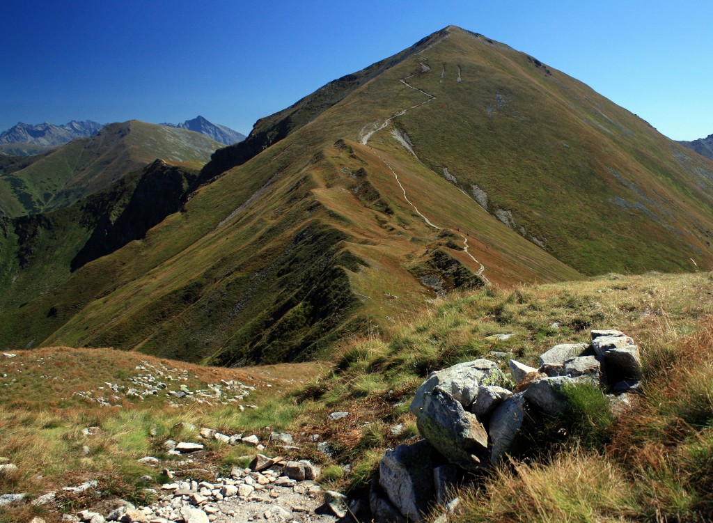 Zdjęcia: Tatry Zachodnie, Małopolska, Starorobociański Wierch, POLSKA Zdjęcia: Tatry Zachodnie, Małopolska, Starorobociański Wierch, POLSKA