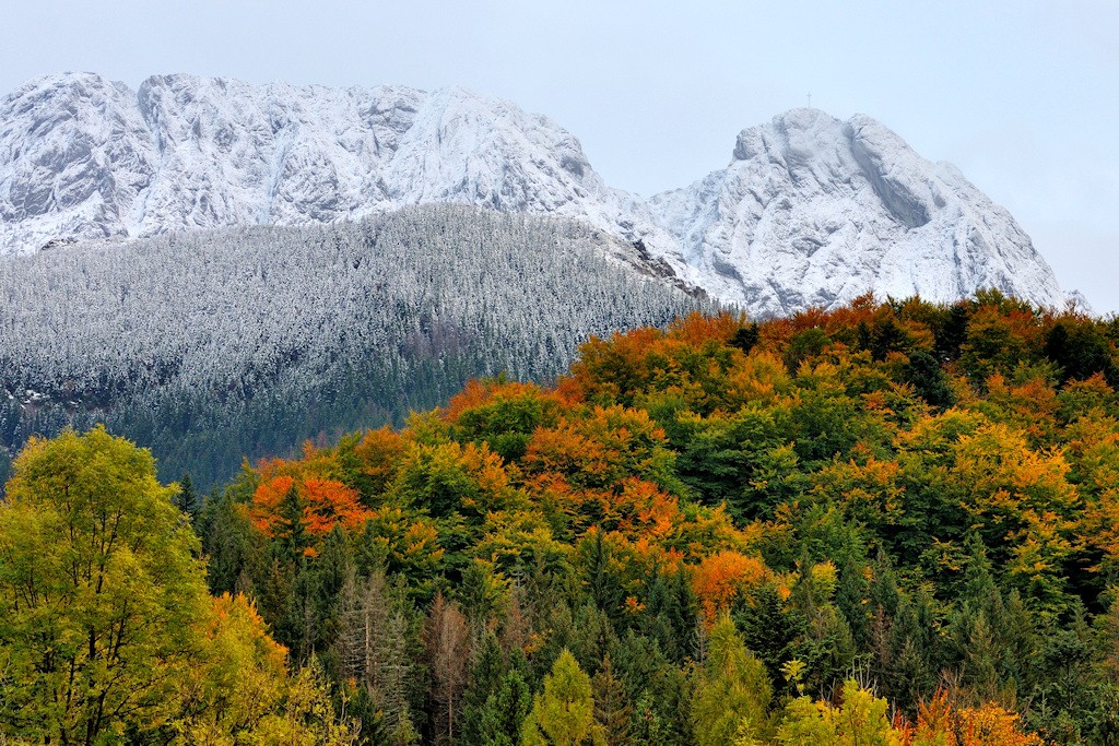Zdjęcia: Tatry, Giewont, Małopolska, Tatry październikowe 1, POLSKA Zdjęcia: Tatry, Giewont, Małopolska, Tatry październikowe 1, POLSKA