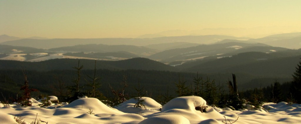 Zdjęcia: UJSOŁY, BESKID ŻYWIECKI, KONKURS, POLSKA Zdjęcia: UJSOŁY, BESKID ŻYWIECKI, KONKURS, POLSKA