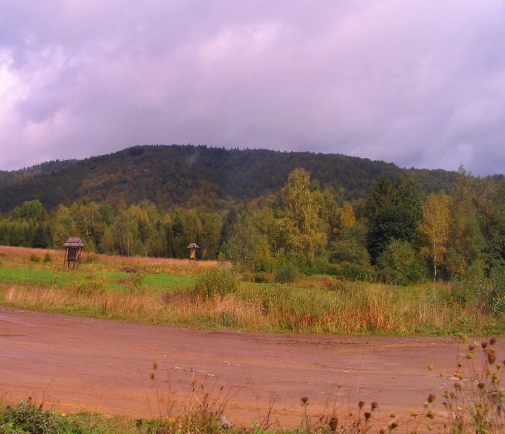 Zdjęcia: okolice Cisnej, Bieszczady, krajobraz, POLSKA Zdjęcia: okolice Cisnej, Bieszczady, krajobraz, POLSKA