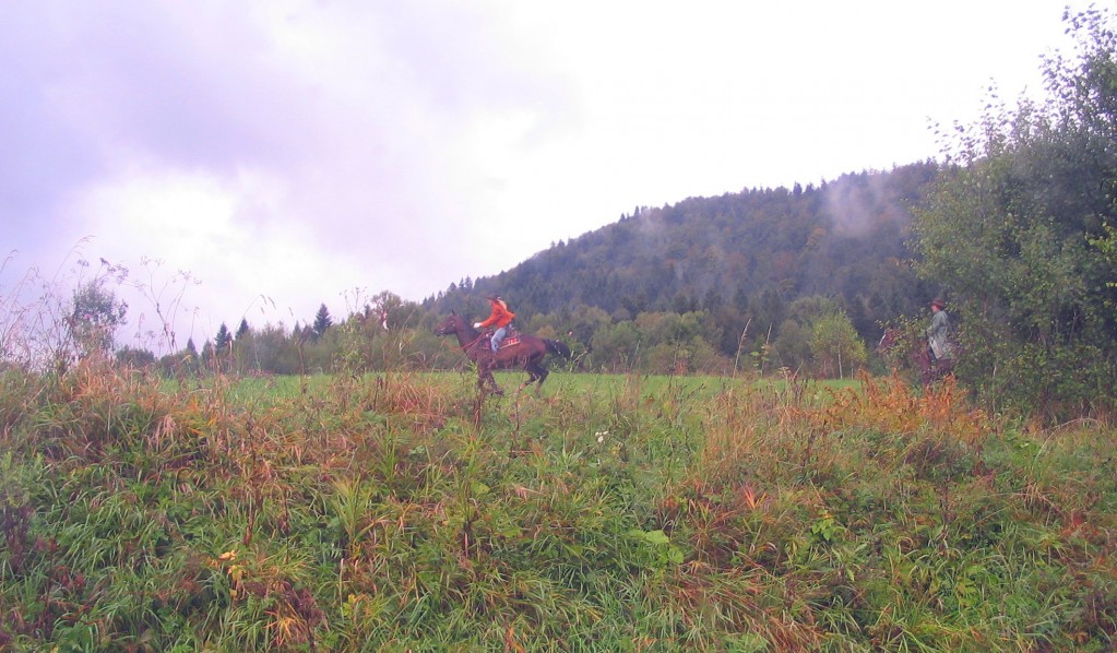 Zdjęcia: okolice Cisnej, Bieszczady, krajobraz, POLSKA Zdjęcia: okolice Cisnej, Bieszczady, krajobraz, POLSKA
