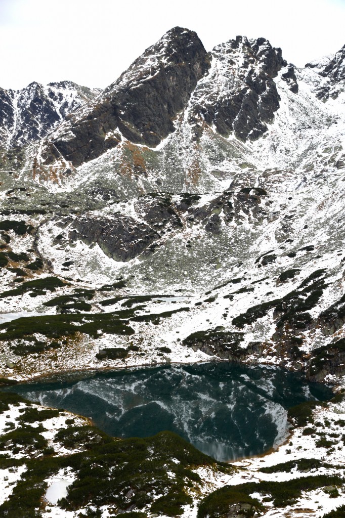 Zdjęcia: DOLINA GˇSIENICOWA, TATRY, DOLINA ZIELONA GˇSIENICOWA, POLSKA Zdjęcia: DOLINA GˇSIENICOWA, TATRY, DOLINA ZIELONA GˇSIENICOWA, POLSKA