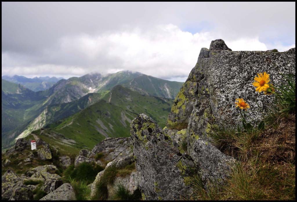 Zdjęcia: tatry, tatry, konkurs, POLSKA Zdjęcia: tatry, tatry, konkurs, POLSKA