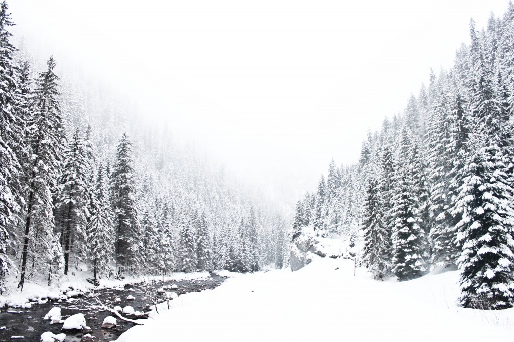 Zdjęcia: Dolina Kościeliska, Tatry, konkurs, POLSKA Zdjęcia: Dolina Kościeliska, Tatry, konkurs, POLSKA