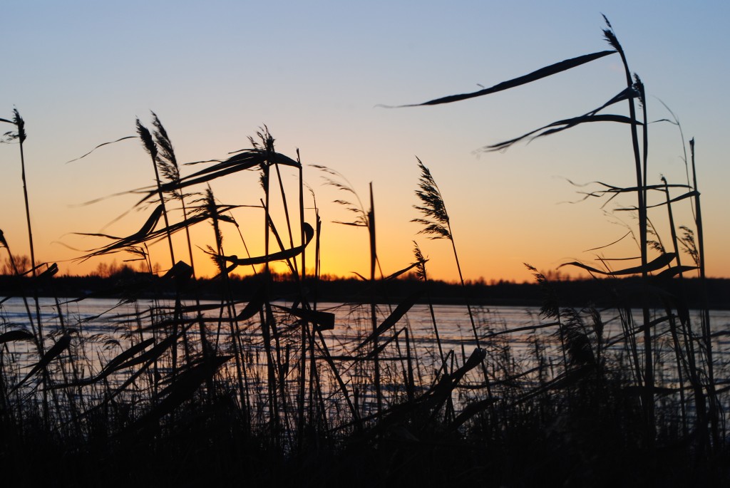 Zdjęcia: Ełk, Mazury, Wietrznie , POLSKA Zdjęcia: Ełk, Mazury, Wietrznie , POLSKA