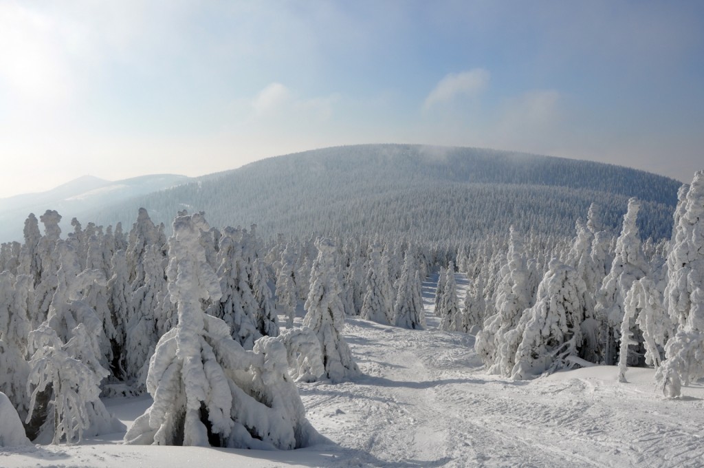 Zdjęcia: Śnieżnik, Sudety, Dolny Śląsk, konkurs, POLSKA Zdjęcia: Śnieżnik, Sudety, Dolny Śląsk, konkurs, POLSKA