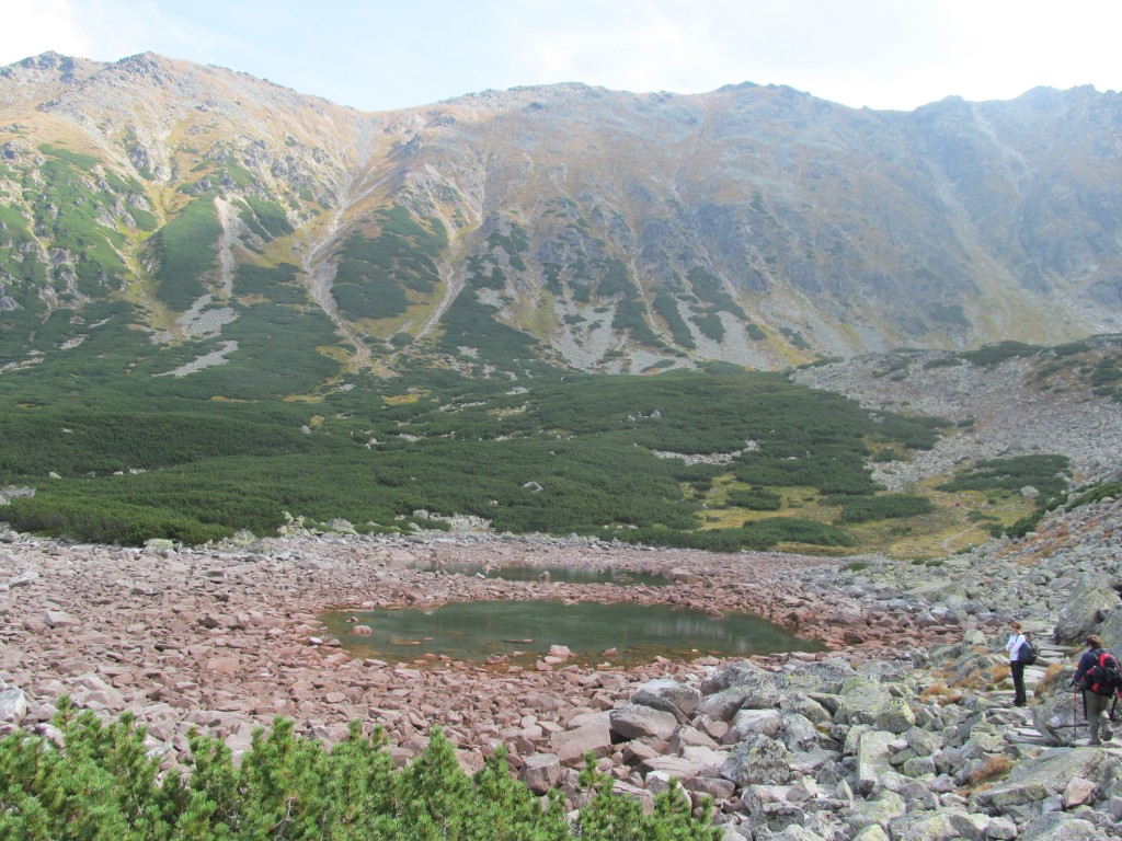 Zdjęcia: Dolina Pańszczyca, Tatry Wysokie, Zakopane, POLSKA Zdjęcia: Dolina Pańszczyca, Tatry Wysokie, Zakopane, POLSKA