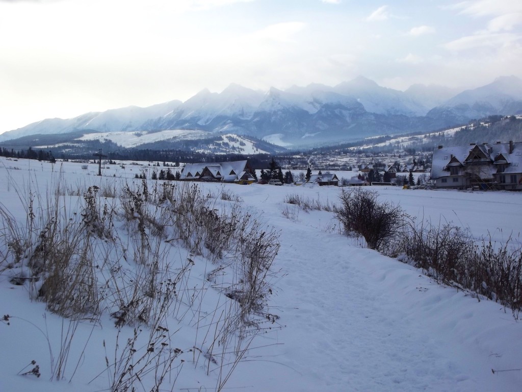 Zdjęcia: Czarnagóra, Tatry, Hawrań w tle, POLSKA Zdjęcia: Czarnagóra, Tatry, Hawrań w tle, POLSKA