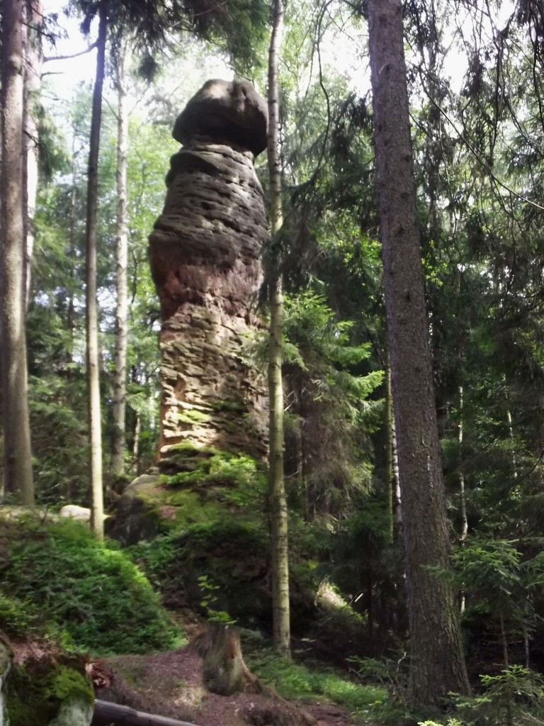 Zdjêcia: Góry Sto³owe, Narodowy Park Gór Sto³owych, Góry Sto³owe, POLSKA Zdjêcia: Góry Sto³owe, Narodowy Park Gór Sto³owych, Góry Sto³owe, POLSKA