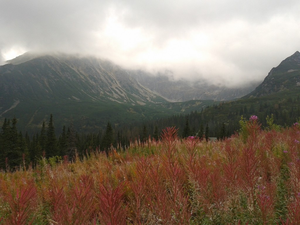 Zdjęcia: Tatry, jesień w Tatrach, POLSKA Zdjęcia: Tatry, jesień w Tatrach, POLSKA