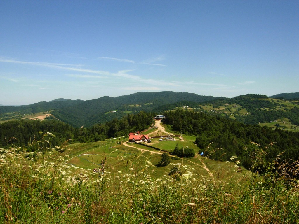 Zdjęcia: Szczawnica, Małopolska, Palenica została w tyle, POLSKA Zdjęcia: Szczawnica, Małopolska, Palenica została w tyle, POLSKA