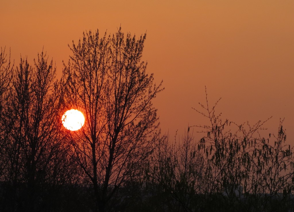 Zdjęcia: nad Wartą, Wielkopolska, Helios..., POLSKA Zdjęcia: nad Wartą, Wielkopolska, Helios..., POLSKA