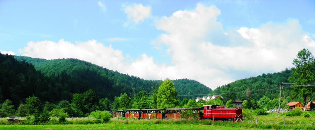 Zdjęcia: Bieszczady, Beskidy wschodnie, Bieszczady, POLSKA Zdjęcia: Bieszczady, Beskidy wschodnie, Bieszczady, POLSKA
