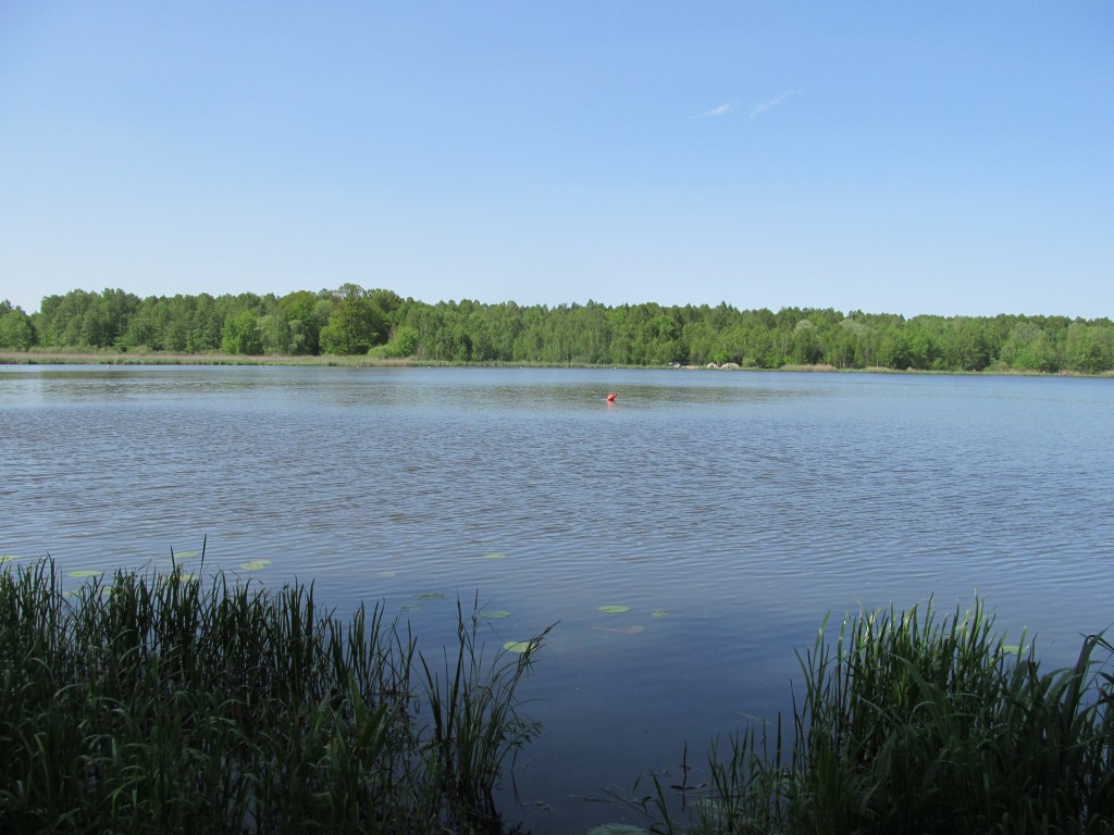 Zdjęcia: Tychy- Paprocany, Południowa Polska, rowerem Ruda Śląska -Tychy ( Paprocany), POLSKA Zdjęcia: Tychy- Paprocany, Południowa Polska, rowerem Ruda Śląska -Tychy ( Paprocany), POLSKA