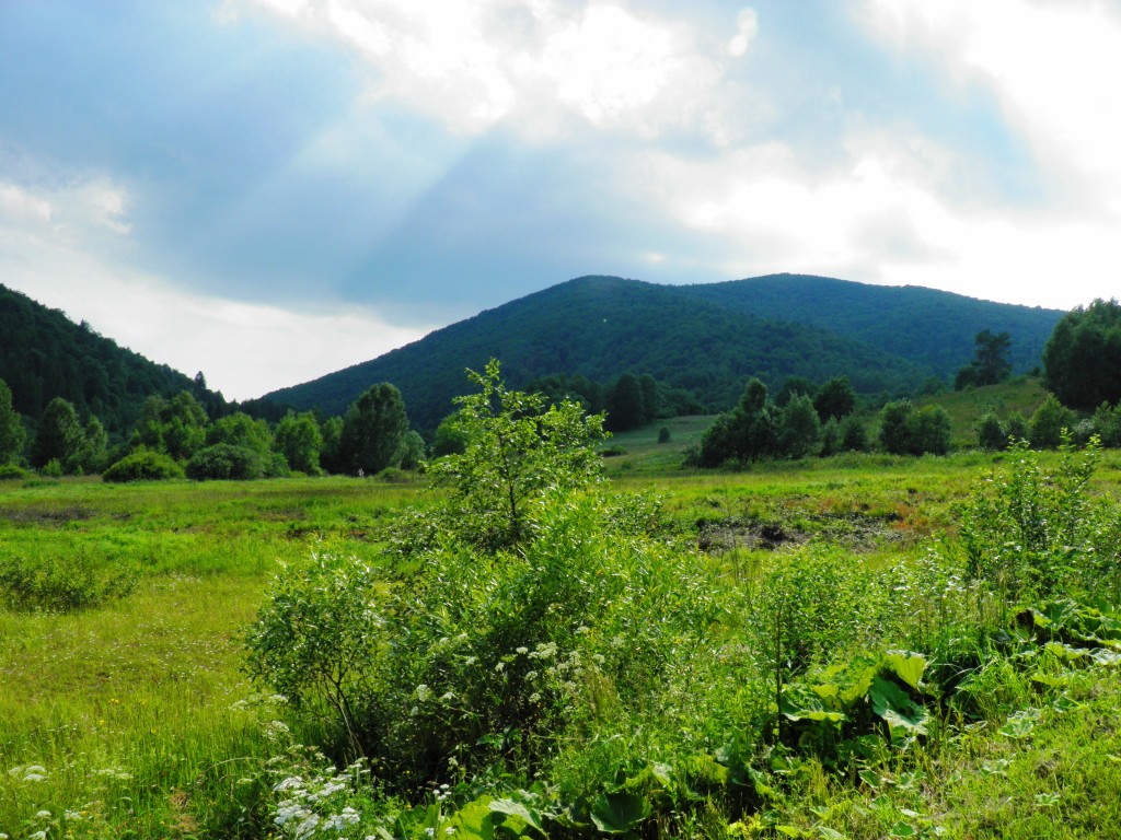 Zdjęcia: Bieszczady, Beskidy wschodnie, Bieszczady, POLSKA Zdjęcia: Bieszczady, Beskidy wschodnie, Bieszczady, POLSKA