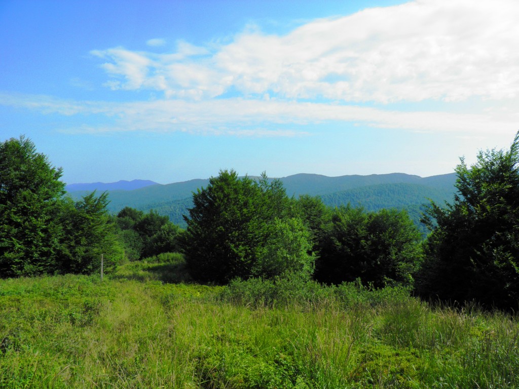 Zdjęcia: Bieszczady, Beskidy wschodnie, Widok na Połoniny, POLSKA Zdjęcia: Bieszczady, Beskidy wschodnie, Widok na Połoniny, POLSKA