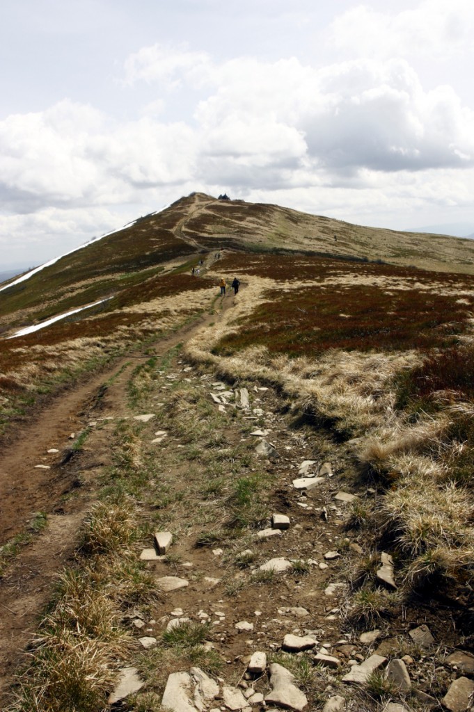 Zdjęcia: Połonina Caryńska, Bieszczady, Wiosenne Połoniny, POLSKA Zdjęcia: Połonina Caryńska, Bieszczady, Wiosenne Połoniny, POLSKA