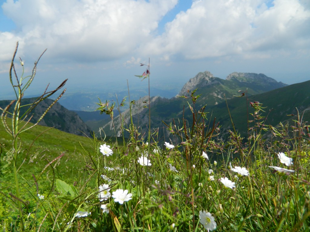 Zdjęcia: małołączniak, Tatry , widok na Giewont, POLSKA Zdjęcia: małołączniak, Tatry , widok na Giewont, POLSKA