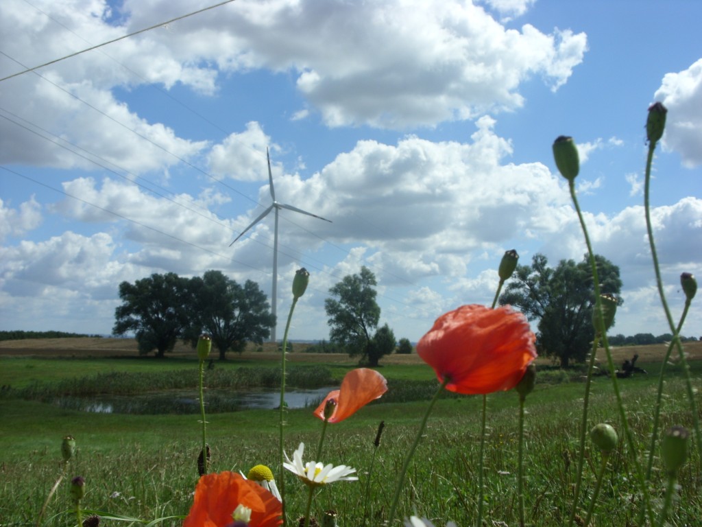 Zdjęcia: Okolice Kętrzyna, Mazury, Krajobraz, POLSKA Zdjęcia: Okolice Kętrzyna, Mazury, Krajobraz, POLSKA