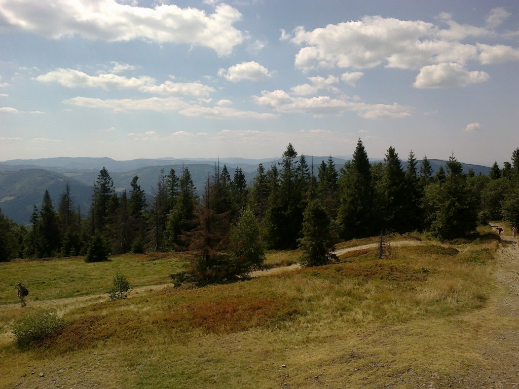 Zdjęcia: szczyt Blatniej, Beskid Śląski, widok z Błatniej, POLSKA Zdjęcia: szczyt Blatniej, Beskid Śląski, widok z Błatniej, POLSKA