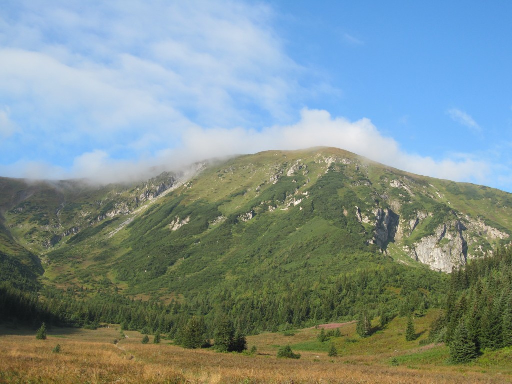 Zdjęcia: Kondratowa Hala widok na Kondracką Kopę, Południowa Polska, TATRY, POLSKA Zdjęcia: Kondratowa Hala widok na Kondracką Kopę, Południowa Polska, TATRY, POLSKA