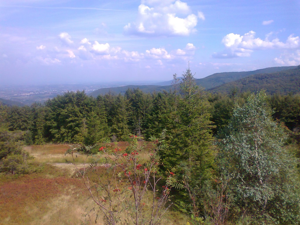 Zdjęcia: okolice Klimczoka, Beskid Śląski, Beskid Śląski, POLSKA Zdjęcia: okolice Klimczoka, Beskid Śląski, Beskid Śląski, POLSKA
