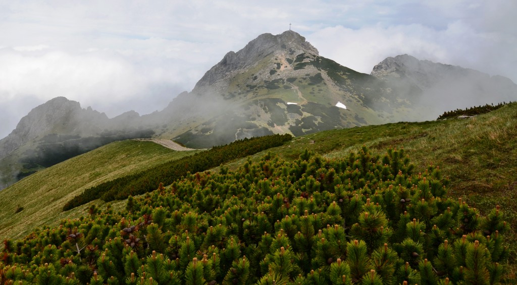 Zdjęcia: Tatry, Małopolska, Giewont, POLSKA Zdjęcia: Tatry, Małopolska, Giewont, POLSKA