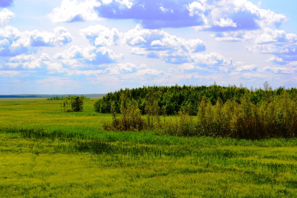 Zdjęcia: BPN, Podlaskie, Biebrzański Park Narodowy, POLSKA Zdjęcia: BPN, Podlaskie, Biebrzański Park Narodowy, POLSKA