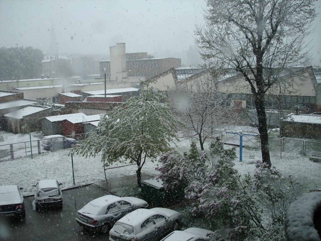 Zdjęcia: Prudnik, opolskie, niezapomniana majówka, POLSKA Zdjęcia: Prudnik, opolskie, niezapomniana majówka, POLSKA