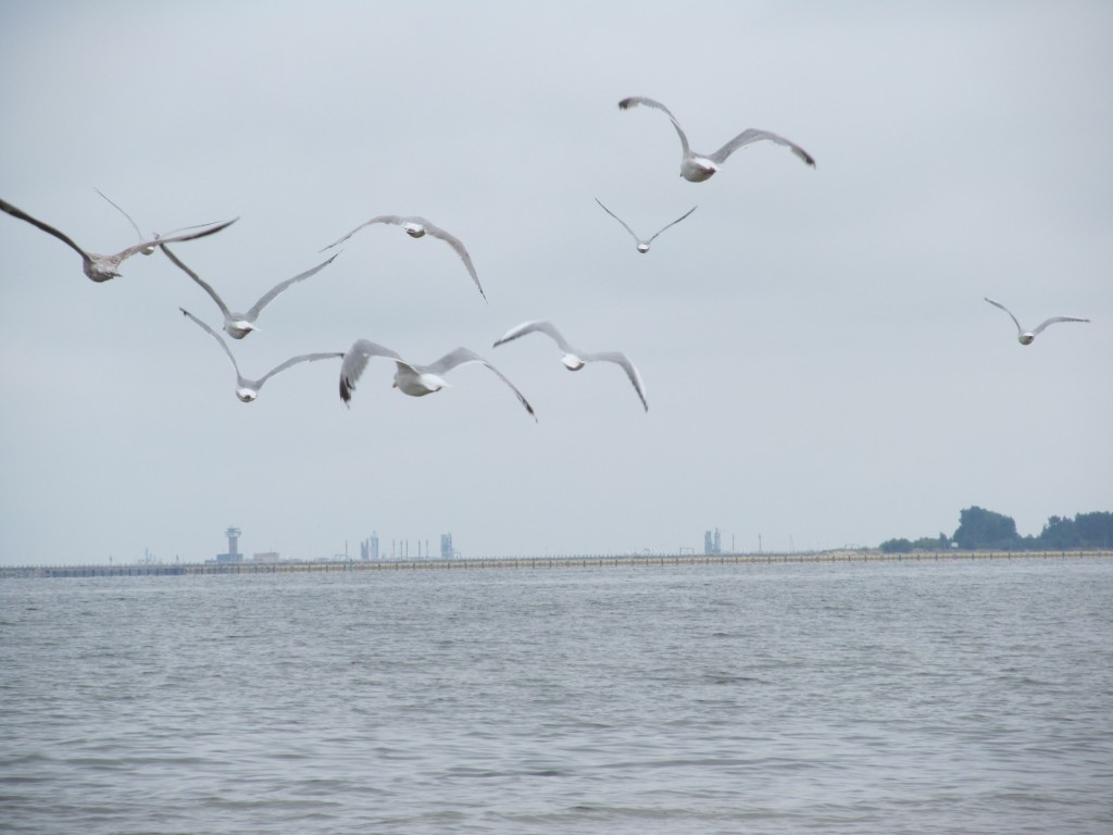 Zdjęcia: Gdańsk, POMORZE, Trójmiasto, POLSKA Zdjęcia: Gdańsk, POMORZE, Trójmiasto, POLSKA