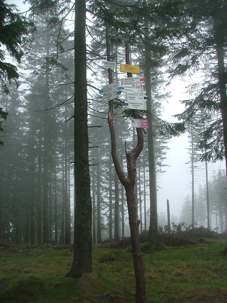 Zdjęcia: Szczyrk, Beskid Śląski, Majowa mgła w Beskidzie Śląskim cz. 2, POLSKA Zdjęcia: Szczyrk, Beskid Śląski, Majowa mgła w Beskidzie Śląskim cz. 2, POLSKA