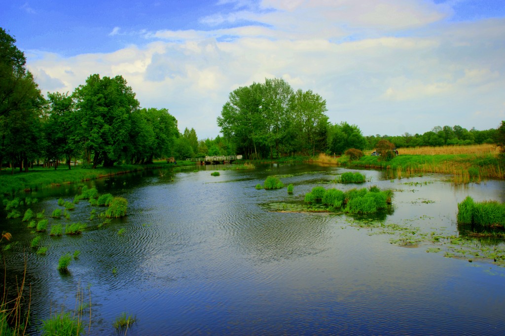 Zdjęcia: Mazowsze, Mazowsze, Rozlewisko, POLSKA Zdjęcia: Mazowsze, Mazowsze, Rozlewisko, POLSKA