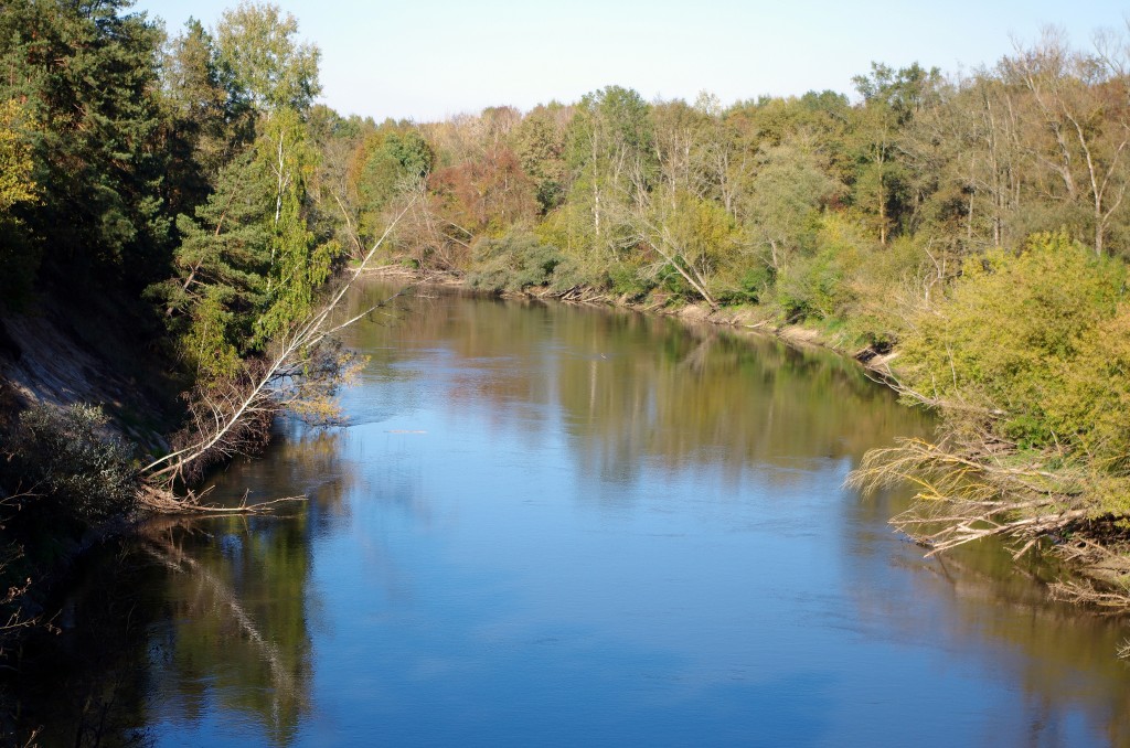 Zdjęcia: Neple, Lubelskie, Rezerwat "Szwajcaria Podlaska", POLSKA Zdjęcia: Neple, Lubelskie, Rezerwat "Szwajcaria Podlaska", POLSKA