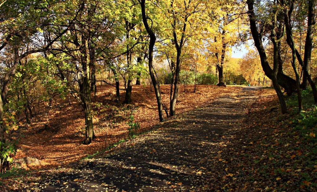 Zdjęcia: Park Bydgoski, Kujawsko-Pomorski, W kolorach jesieni., POLSKA Zdjęcia: Park Bydgoski, Kujawsko-Pomorski, W kolorach jesieni., POLSKA