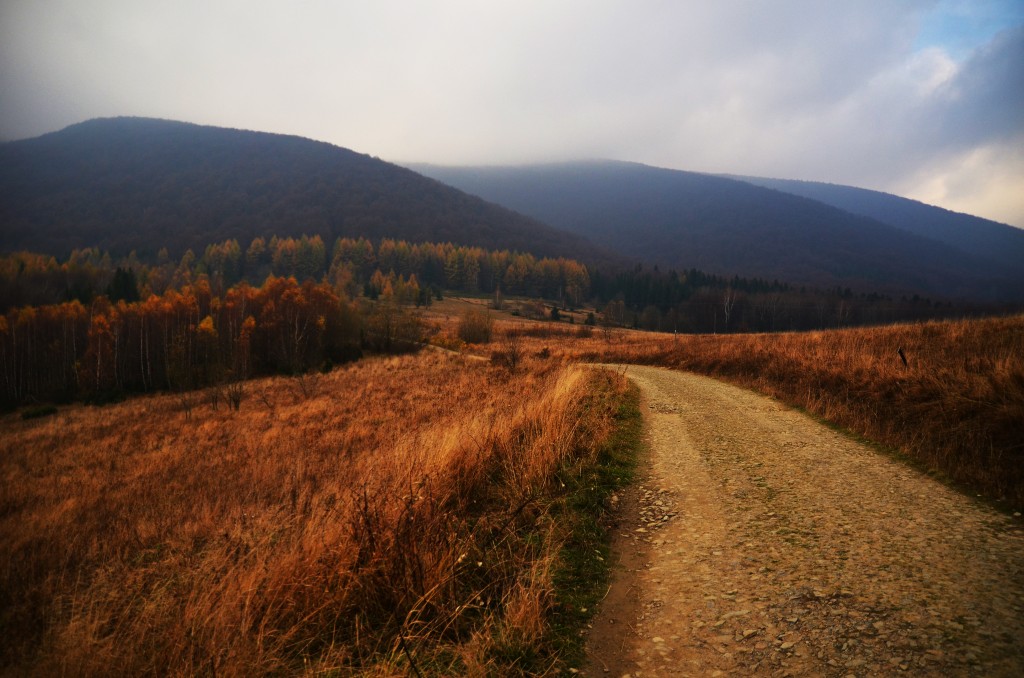 Zdjęcia: Bieszczady, Bieszczady, Szlak z przeł. Wyżniańskiej na Małą i Wielką Rawkę, POLSKA Zdjęcia: Bieszczady, Bieszczady, Szlak z przeł. Wyżniańskiej na Małą i Wielką Rawkę, POLSKA