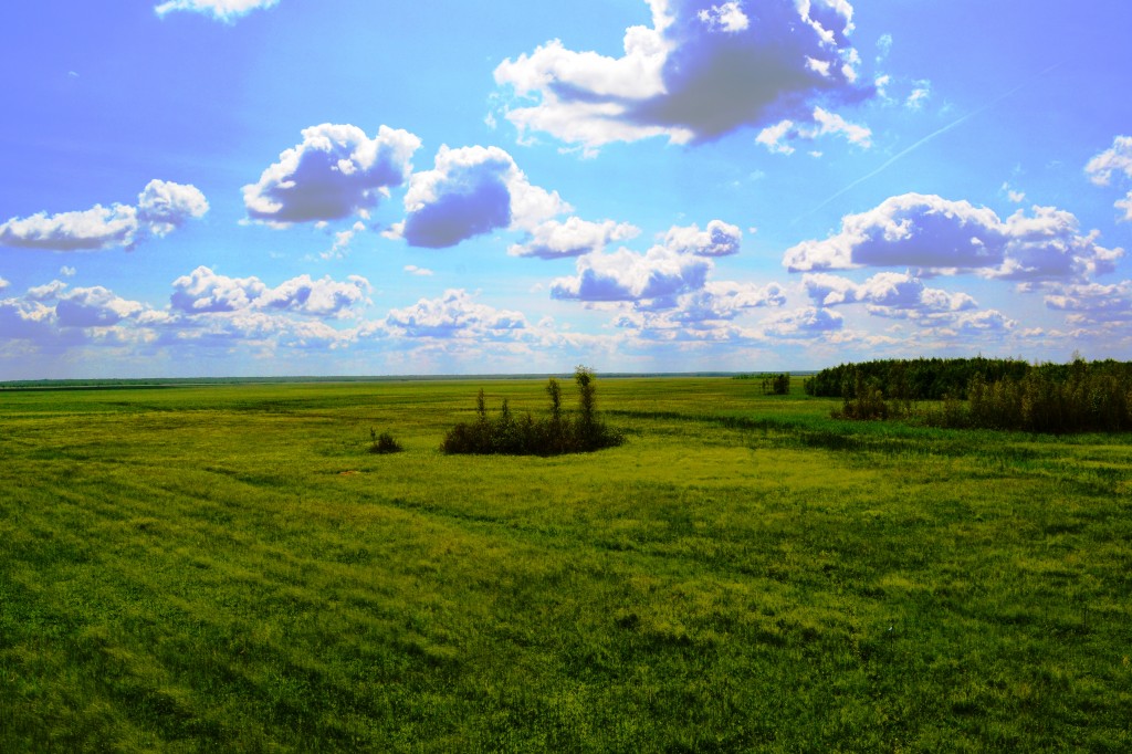 Zdjęcia: Goniądz, Podlaskie, Biebrzański Park Narodowy, POLSKA Zdjęcia: Goniądz, Podlaskie, Biebrzański Park Narodowy, POLSKA