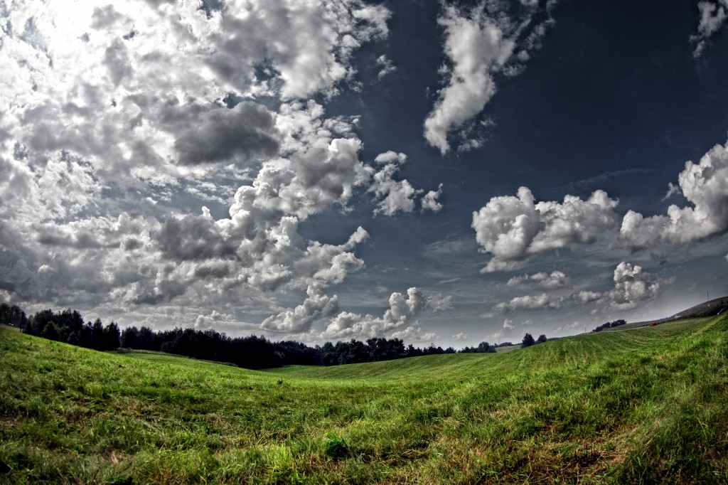 Zdjęcia: Mikołajki, Mazury, POLSKA Zdjęcia: Mikołajki, Mazury, POLSKA