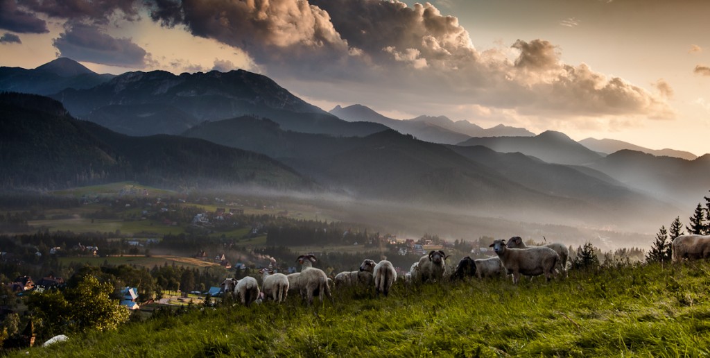 Zdjęcia: Kościelisko, Tatry, Kościelisko, POLSKA Zdjęcia: Kościelisko, Tatry, Kościelisko, POLSKA