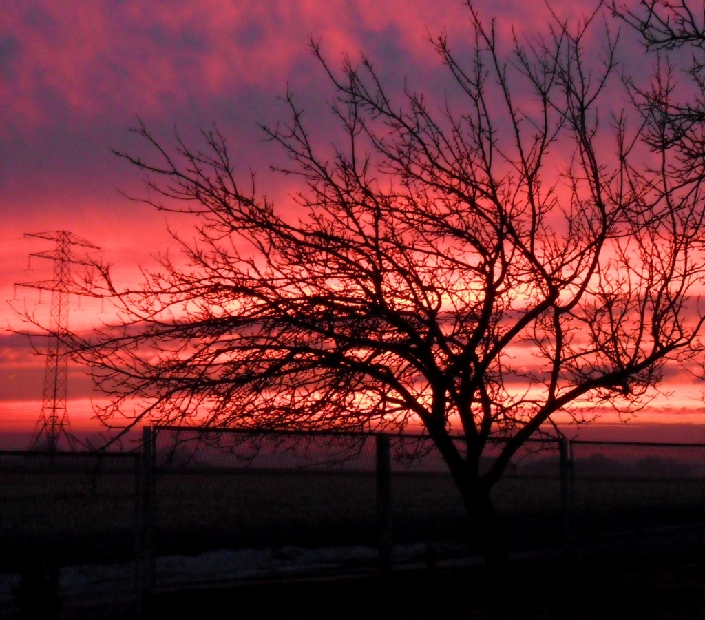 Zdjęcia: Chełmica, kujawsko-pomorskie, Zachód słońca, POLSKA Zdjęcia: Chełmica, kujawsko-pomorskie, Zachód słońca, POLSKA