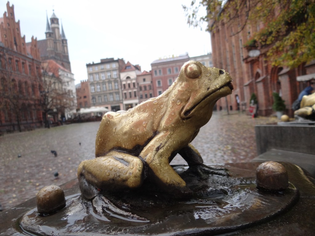 Zdjęcia: Rynek Staromiejski, Toruń, Po deszczu, POLSKA Zdjęcia: Rynek Staromiejski, Toruń, Po deszczu, POLSKA