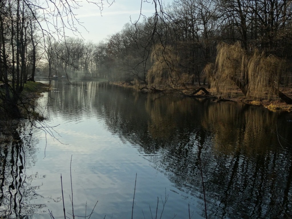 Zdjęcia: Torun, Kujawsko-Pomorskie, MARTWA WISŁA, POLSKA Zdjęcia: Torun, Kujawsko-Pomorskie, MARTWA WISŁA, POLSKA