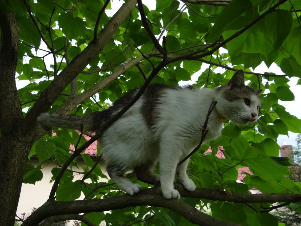 Zdjęcia: Wielkopolska, Wielkopolska, Zaraz coś zjem..., POLSKA Zdjęcia: Wielkopolska, Wielkopolska, Zaraz coś zjem..., POLSKA