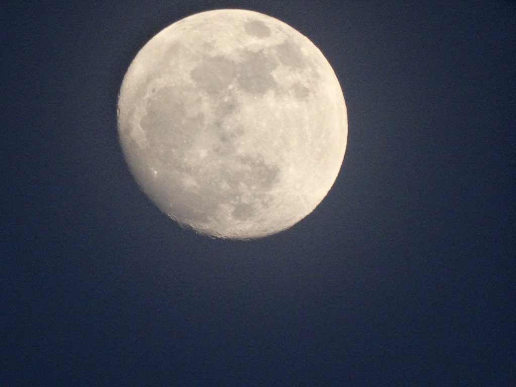 Zdjęcia: Torun, Kujawsko-Pomorskie, PEŁNIA KSIEŻYCA, POLSKA Zdjęcia: Torun, Kujawsko-Pomorskie, PEŁNIA KSIEŻYCA, POLSKA