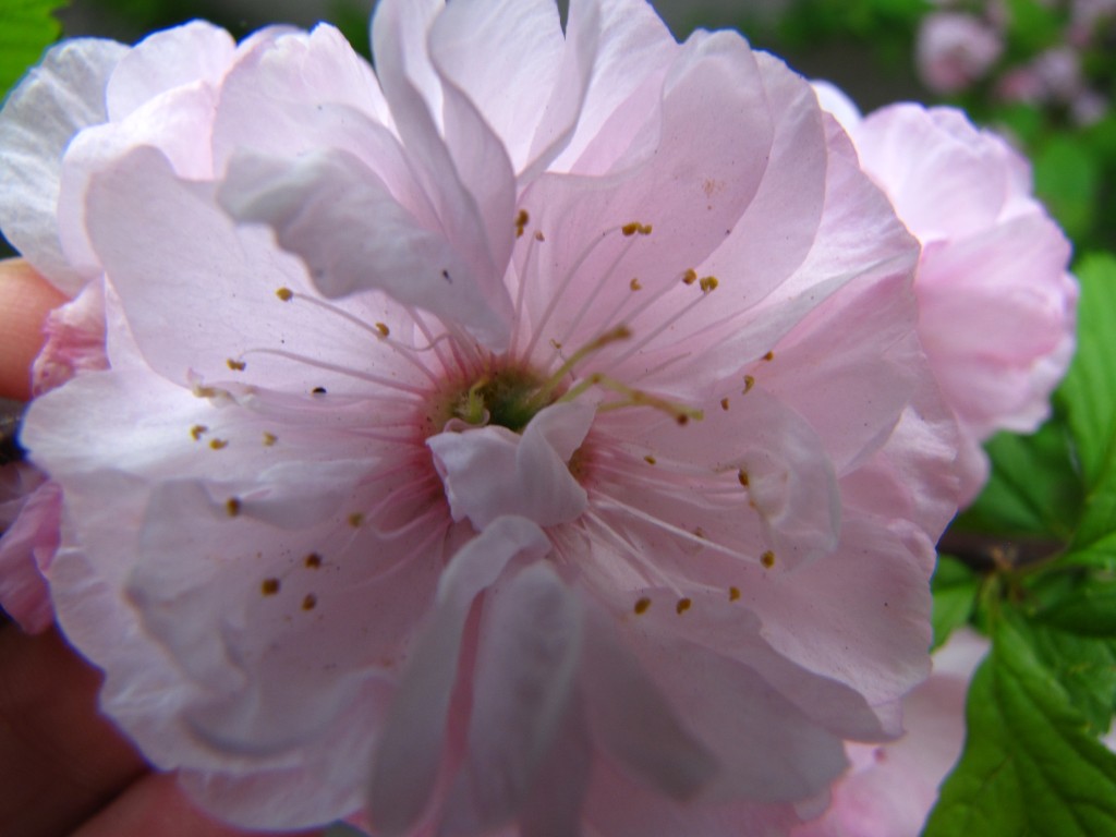 Zdjęcia: Luboń, Wielkopolska, Konkurs, POLSKA Zdjęcia: Luboń, Wielkopolska, Konkurs, POLSKA