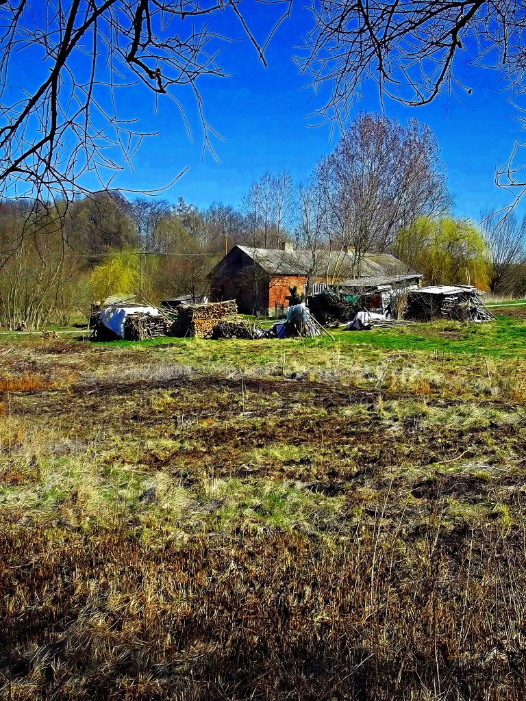Zdjęcia: okolice Sandomierza, świętokrzyskie, Czworak pod lasem, POLSKA Zdjęcia: okolice Sandomierza, świętokrzyskie, Czworak pod lasem, POLSKA