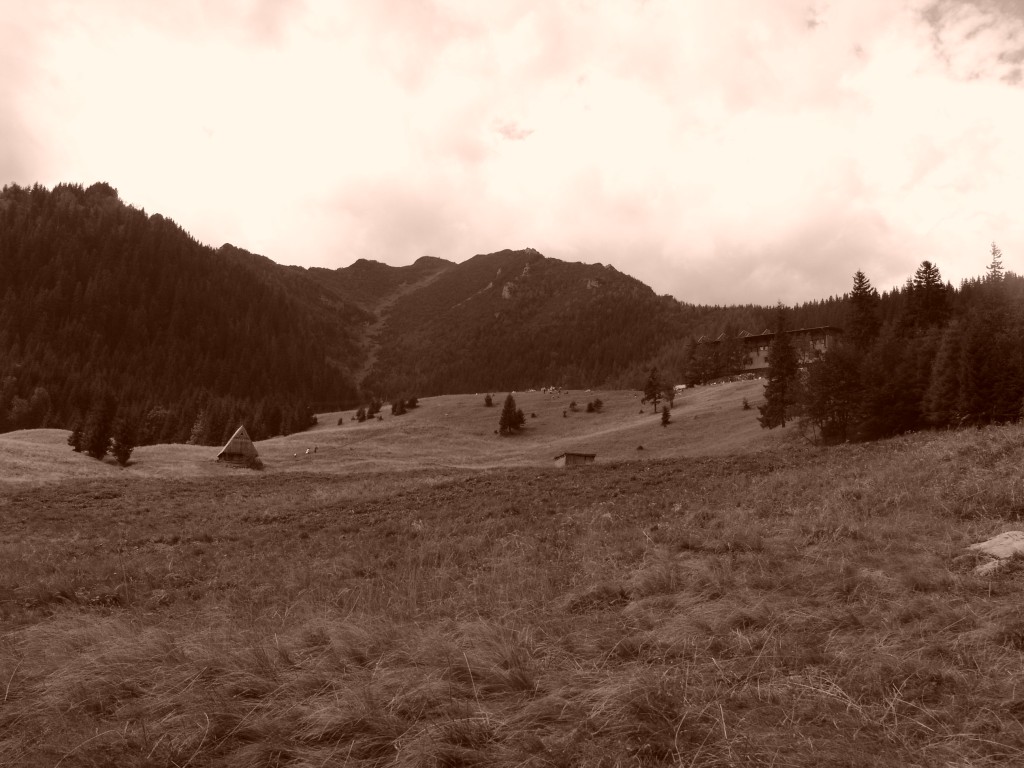 Zdjęcia: Polana Kalatówki - schronisko na Kalatówkach, Tatry, Polana na Kalatówkach, schronisko, POLSKA Zdjęcia: Polana Kalatówki - schronisko na Kalatówkach, Tatry, Polana na Kalatówkach, schronisko, POLSKA