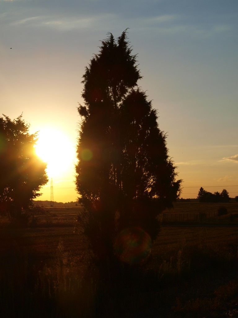 Zdjęcia: wieś Ossówka, Podlasie, Zmierzch na wsi, POLSKA Zdjęcia: wieś Ossówka, Podlasie, Zmierzch na wsi, POLSKA