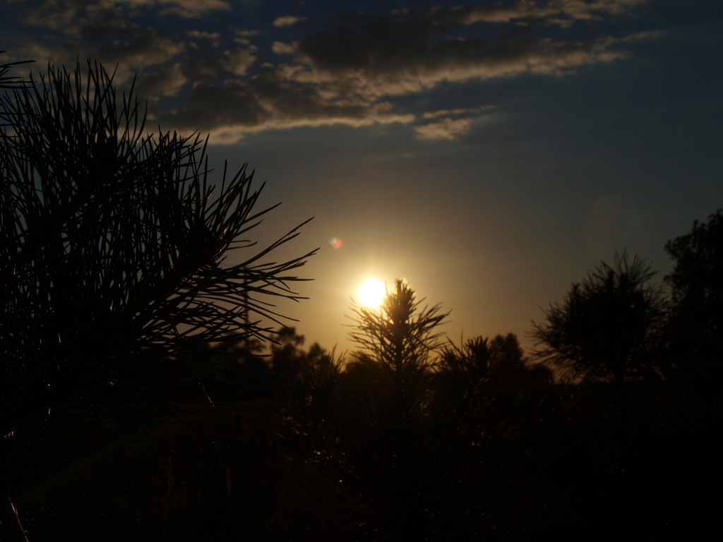 Zdjęcia: wieś Ossówka, Podlasie, Zmierzch na wsi, POLSKA Zdjęcia: wieś Ossówka, Podlasie, Zmierzch na wsi, POLSKA