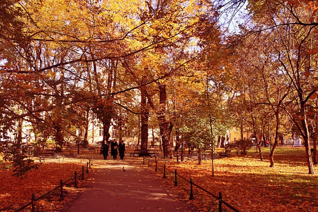 Zdjęcia: planty, Kraków, Trzech mężczyzn jesienną porą, POLSKA Zdjęcia: planty, Kraków, Trzech mężczyzn jesienną porą, POLSKA