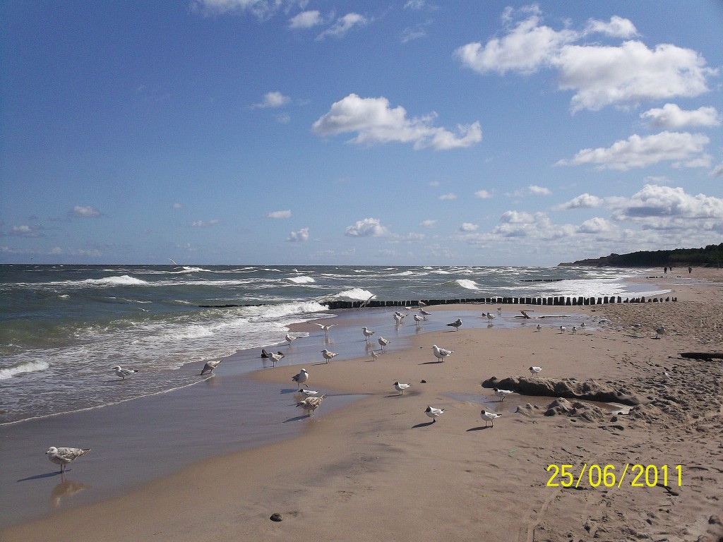 Zdjęcia: Jarosławiec, Morze, Plaża, POLSKA Zdjęcia: Jarosławiec, Morze, Plaża, POLSKA